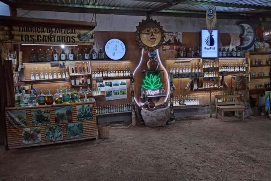 Puerto Escondido: Mezcal, Coffee, and Pedal Loom Factory - Exploring the Heart of Oaxaca in Four Hours