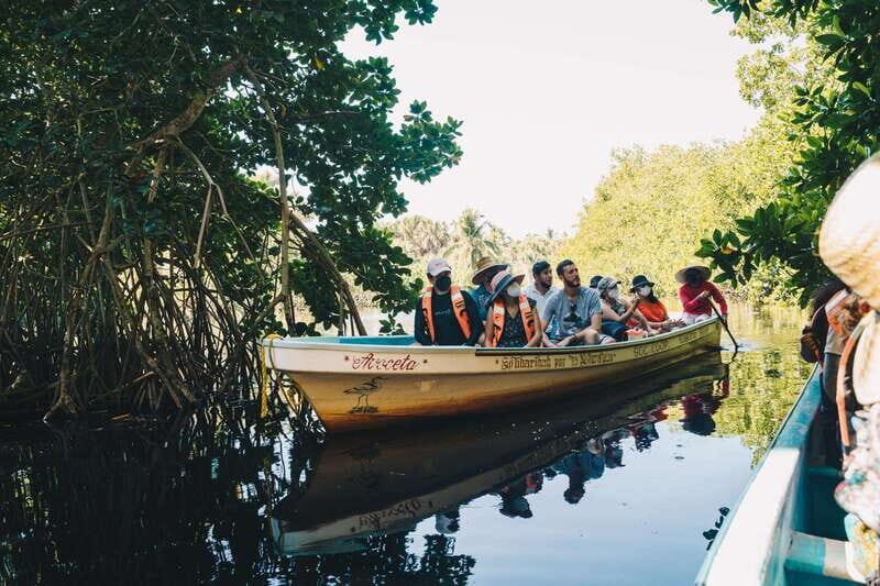 Puerto Escondido: Oaxaca Coast Wildlife Ecotour - Exploring the Oaxaca Coast Ecotour: What to Expect