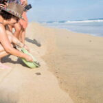 Puerto Escondido: Turtle Release Experience - A Closer Look at the Itinerary