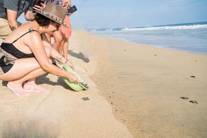 Puerto Escondido: Turtle Release Experience