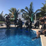 Puerto Morelo: Cenote Diving - Why Choose This Tour?