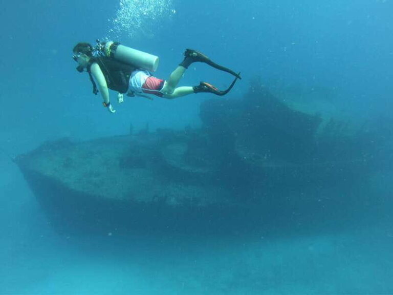 Puerto Morelos: C-56 Shipwreck & Reef for Certified Divers - Who Will Enjoy This Tour Most?