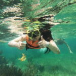 Puerto Morelos: Guided Snorkeling Tour with Gear & Fees - What Makes This Tour Stand Out?