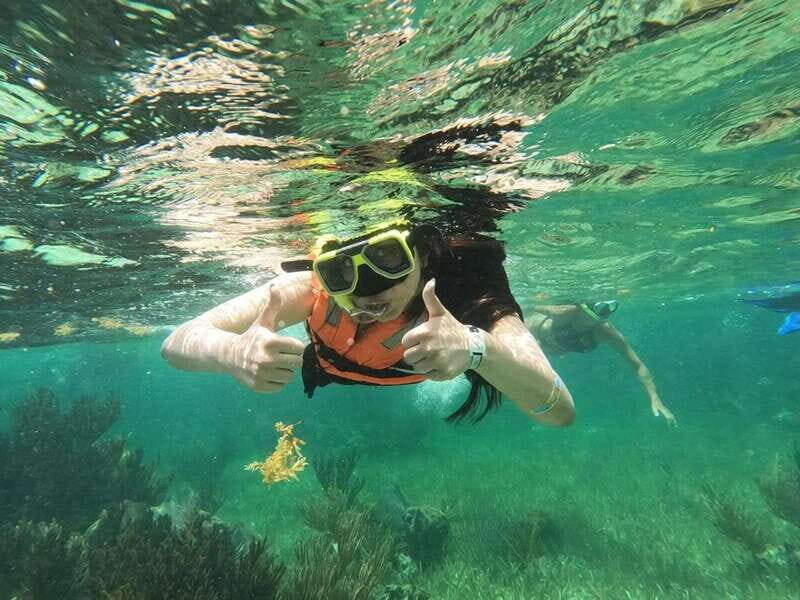 Puerto Morelos: Guided Snorkeling Tour with Gear & Fees - What Makes This Tour Stand Out?