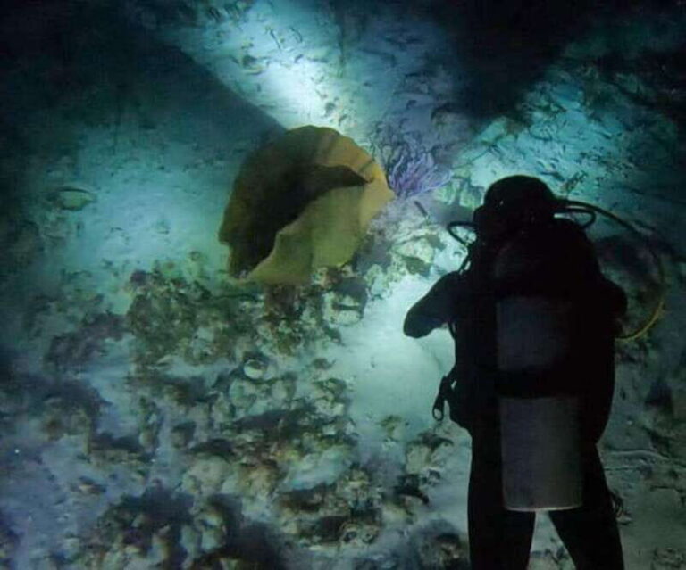 Puerto Morelos: Ojo de Agua Night Dive for Certified Divers - The Authentic Experience: Why It Stands Out