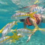 Puerto Morelos: Snorkeling at The National Reef Park - FAQ