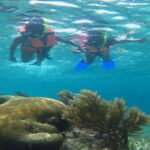 Puerto Morelos: Snorkeling Tour - Why This Tour Works Well for Travelers