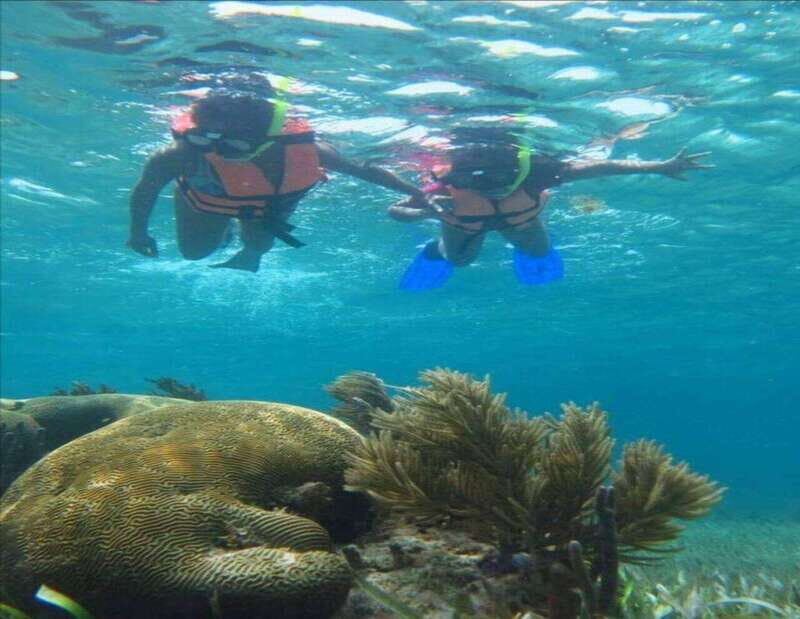 Puerto Morelos: Snorkeling Tour - Why This Tour Works Well for Travelers