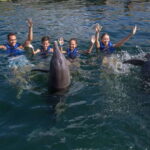 Puerto Morelos: Swim with Dolphins - Final Thoughts