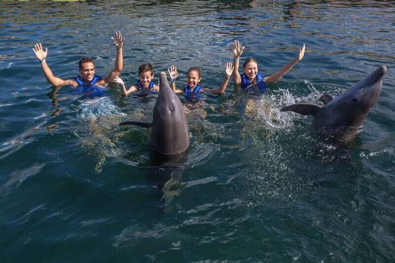 Puerto Morelos: Swim with Dolphins - Final Thoughts