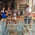 Puerto Vallarta: ATV El Eden and Zip Line Experience - Exploring the Itinerary: What’s in Store