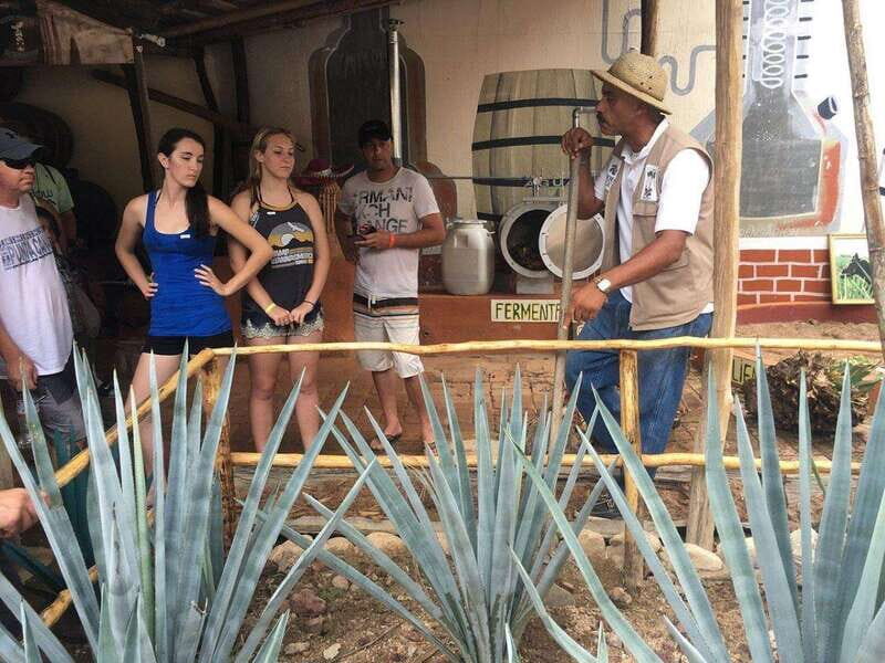 Puerto Vallarta: ATV El Eden and Zip Line Experience - Exploring the Itinerary: What’s in Store