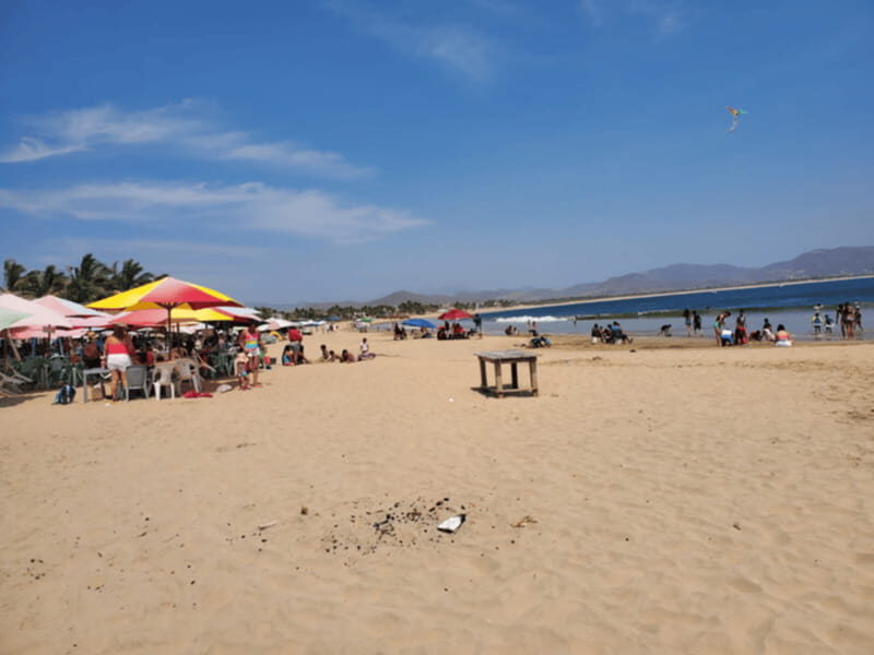 Puerto Vallarta: Beach Tour Experience - Who Should Consider This Tour?