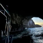 Puerto Vallarta: Bioluminescence in Los Arcos Marine Park - Practical Details and Considerations
