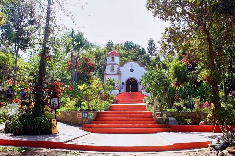 Puerto Vallarta: Botanical Gardens, Distillery & Coffee Tour - Who Should Book This Tour?
