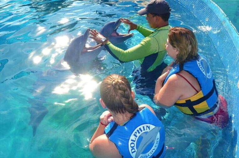 Puerto Vallarta: Dolphin Royal Swim at Aquaventuras Park - Final Thoughts on Value and Suitability