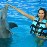 Puerto Vallarta: Dolphin Swimming and Aquaventuras Park - What Makes This Tour Stand Out