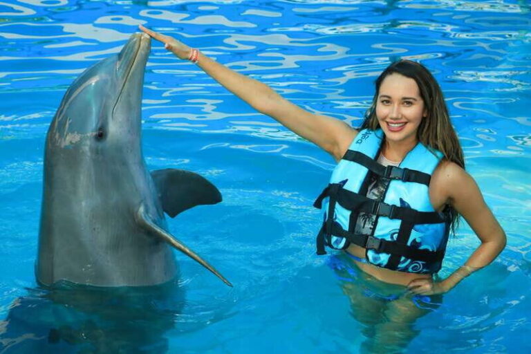 Puerto Vallarta: Dolphin Swimming and Aquaventuras Park - What Makes This Tour Stand Out