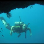 Puerto Vallarta: El Chimo Scuba Diving Expedition - Why This Tour Offers Good Value