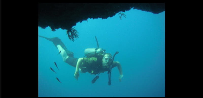 Puerto Vallarta: El Chimo Scuba Diving Expedition - Why This Tour Offers Good Value