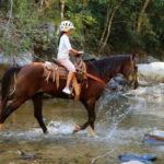 Puerto Vallarta: El Salto Waterfall Horseback Riding - Final Thoughts on Value and Suitability