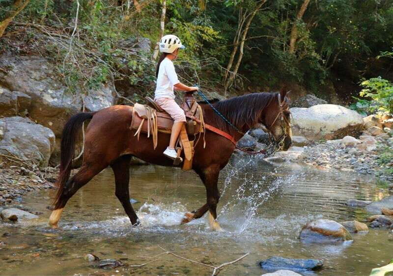 Puerto Vallarta: El Salto Waterfall Horseback Riding - Final Thoughts on Value and Suitability