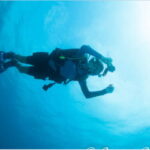 Puerto Vallarta: Exclusive Dive Adventure - Who This Tour Is Perfect For