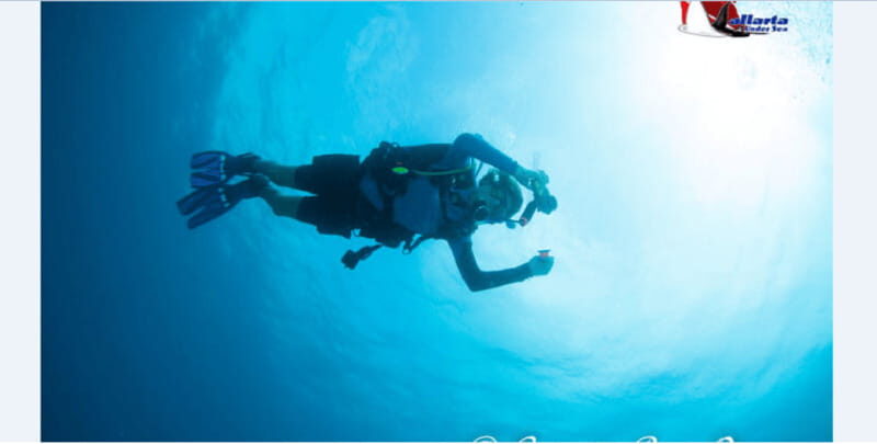 Puerto Vallarta: Exclusive Dive Adventure - Who This Tour Is Perfect For