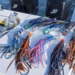 Puerto Vallarta: Fishing Cachi I 28 - Final Thoughts