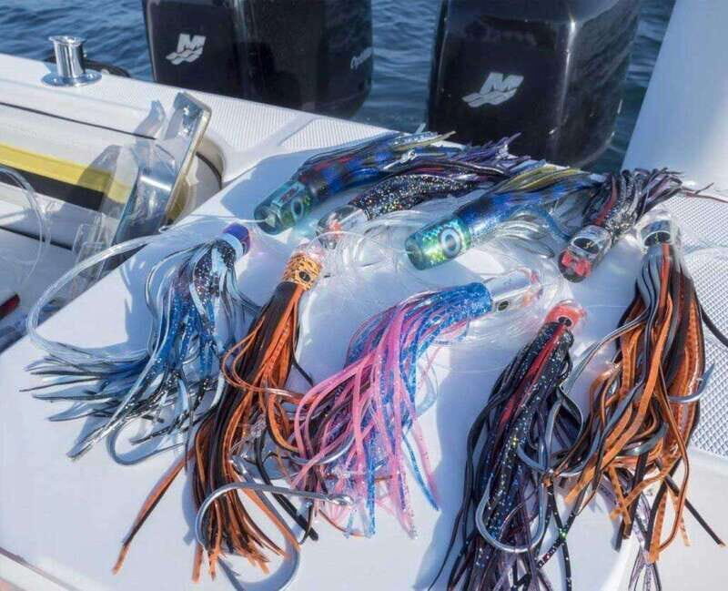Puerto Vallarta: Fishing Cachi I 28 - Final Thoughts