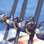 Puerto Vallarta: Fishing Lucky I 28 - Who Should Book This Trip?