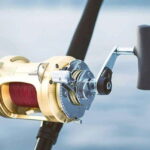 Puerto Vallarta: Fishing Pami I 27 - The Experience of Fishing in Puerto Vallarta on PAMI I