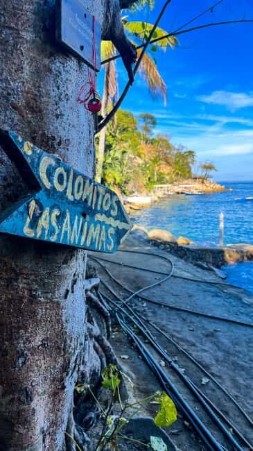 Puerto Vallarta: Hiking Trail, 6 Hidden Beaches & Zipline. - An In-Depth Look at the Puerto Vallarta Hidden Beaches & Zipline Tour