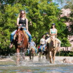 Puerto Vallarta: Horseback Ride to Mountain Waterfalls - Final Thoughts
