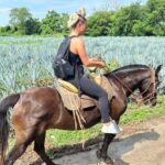 Puerto Vallarta: Horseback Riding at Hacienda Doña Engracia - What the Reviews Say