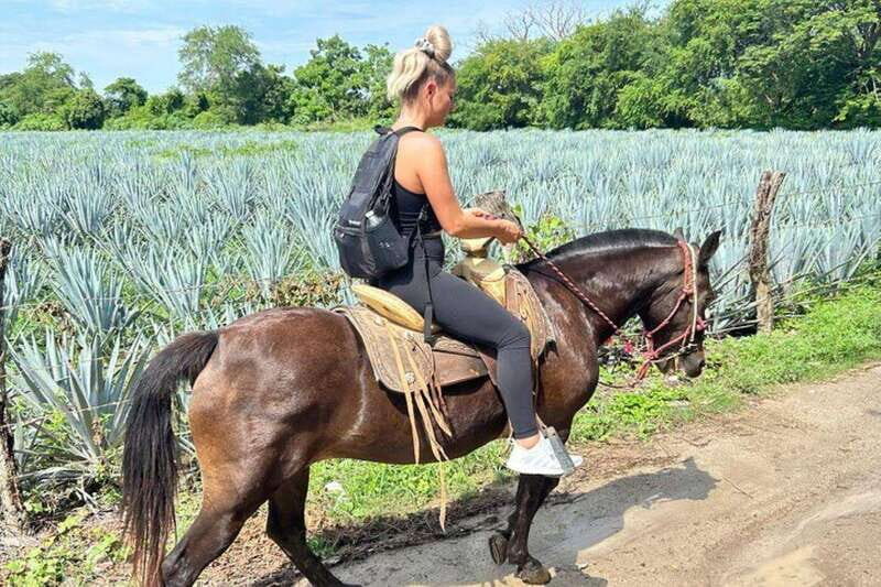 Puerto Vallarta: Horseback Riding at Hacienda Doña Engracia - What the Reviews Say