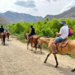 Puerto Vallarta: Horseback Riding, Lunch & Unlimited Drinks - What’s the Value?