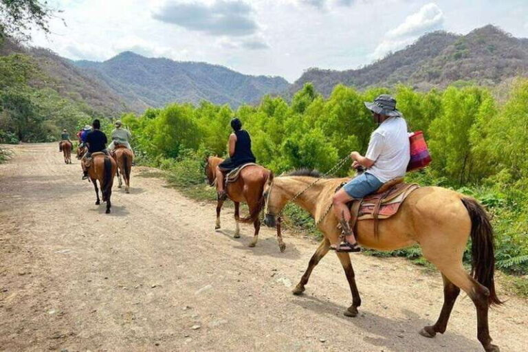 Puerto Vallarta: Horseback Riding, Lunch & Unlimited Drinks - What’s the Value?