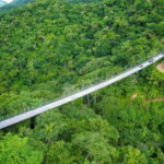 Puerto Vallarta: Jorullo Bridge RZR Tour - Who Should Consider This Tour?