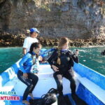 Puerto Vallarta: Los Arcos de Mismaloya, diving for beginners. - The Experience in Detail