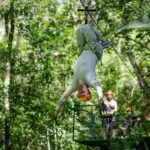 Puerto Vallarta: Los Veranos Zip Line For Cruise Guests - A Closer Look at the Puerto Vallarta Los Veranos Zip Line Tour