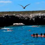 Puerto Vallarta: Marietas Island, Breakfast, Lunch, Open Bar - The Sum Up