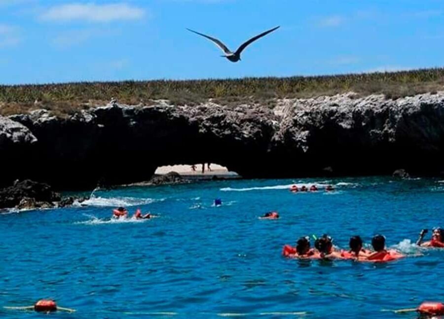 Puerto Vallarta: Marietas Island, Breakfast, Lunch, Open Bar - The Sum Up