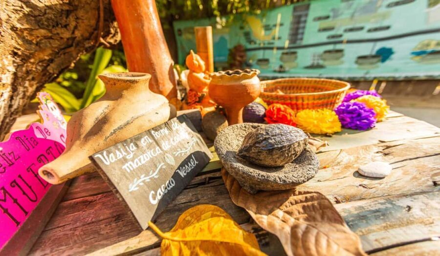 Puerto Vallarta: Mexican Cooking Class, Pueblos, & Food Tour - Practical Details & What You Should Know