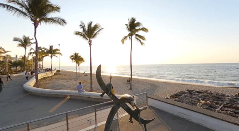 Puerto Vallarta: Parasailing Experience - Why Choose This Parasailing Experience?