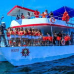 Puerto Vallarta: Predator Catamaran Adventure - Who Is This Tour Best For?
