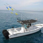 Puerto Vallarta: Private Ocean Adventure - Who Is This Tour Perfect For?
