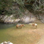 Puerto Vallarta: Private Tour Hiking Quimixto Waterfall - About the Pricing and Value