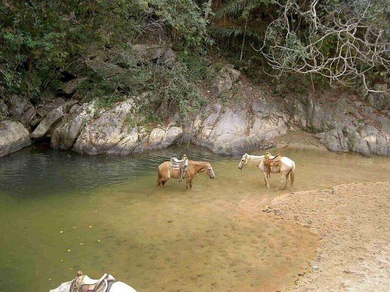 Puerto Vallarta: Private Tour Hiking Quimixto Waterfall - About the Pricing and Value