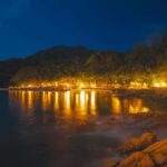 Puerto Vallarta Rhythms of the night, Show & Buffet dinner - A Deep Dive into the Rhythms of the Night Experience